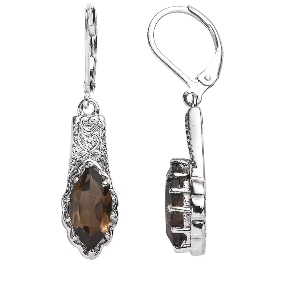 NWOT Brazilian Smoky Quartz 3.70 ctw Lever Back Earrings in Stainless Steel